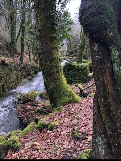 Casinha Estrela Da Encosta - Geres Villa วีเอย์รา ดู มีโญ ภายนอก รูปภาพ