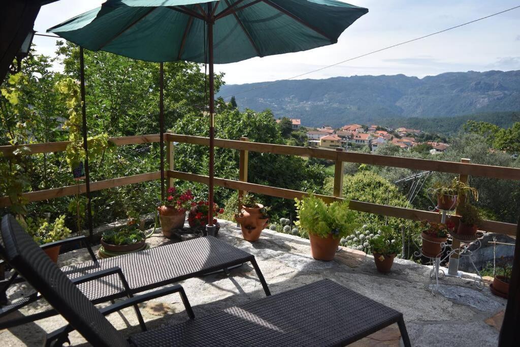 Casinha Estrela Da Encosta - Geres Villa วีเอย์รา ดู มีโญ ภายนอก รูปภาพ