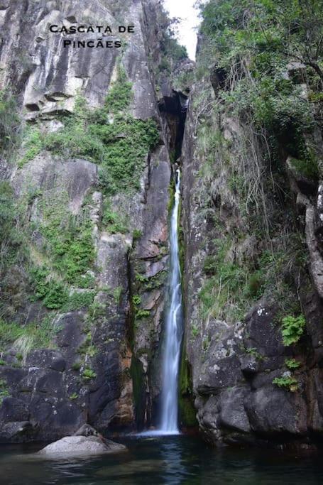 Casinha Estrela Da Encosta - Geres Villa วีเอย์รา ดู มีโญ ภายนอก รูปภาพ